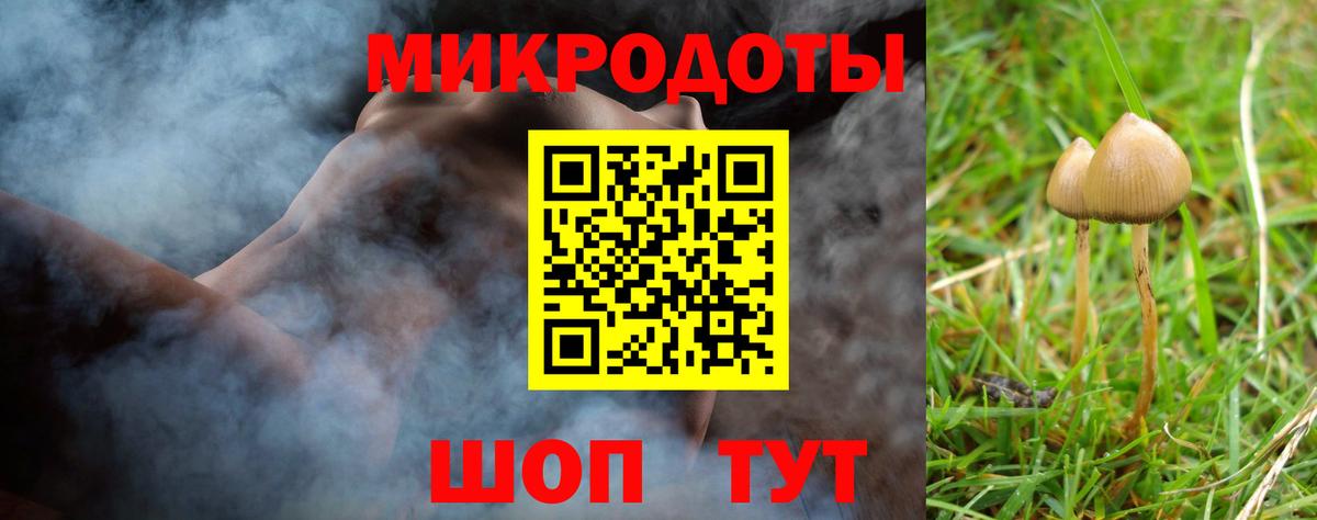 Галлюциногенные грибы мицелий  Вход с VPN  Новоалександровск  Галлюциногенные грибы GOLDEN TEACHER 